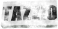 Tazzio